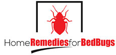 All About Treating and Getting Rid of Bed Bugs